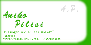 aniko pilisi business card